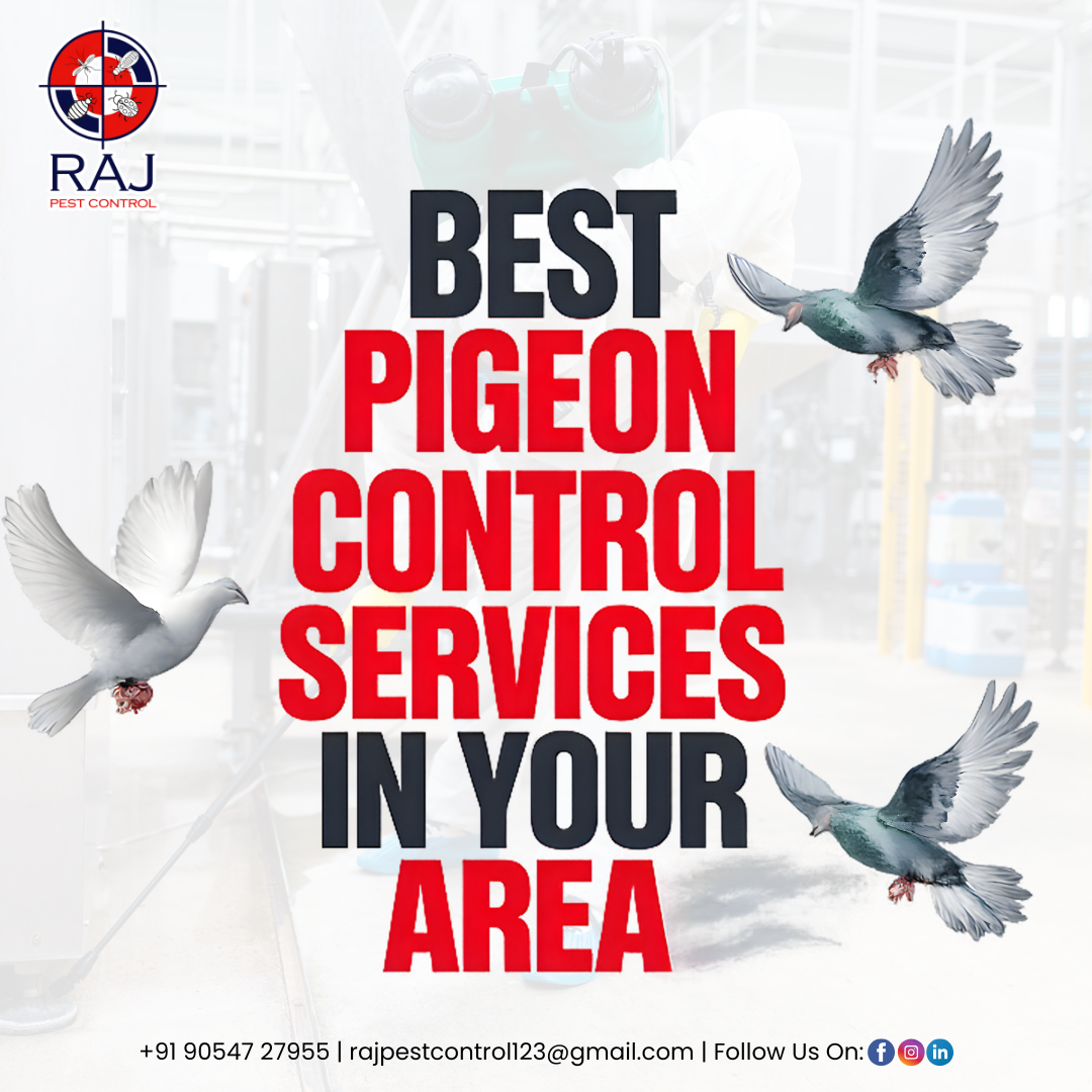 9 .Raj Pest Control